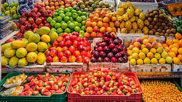 معرفی بهترین میوه‌ های تابستانی برای لاغری / 10 میوه تابستانی کم‌ کالری که دوستدار تناسب اندام هستند