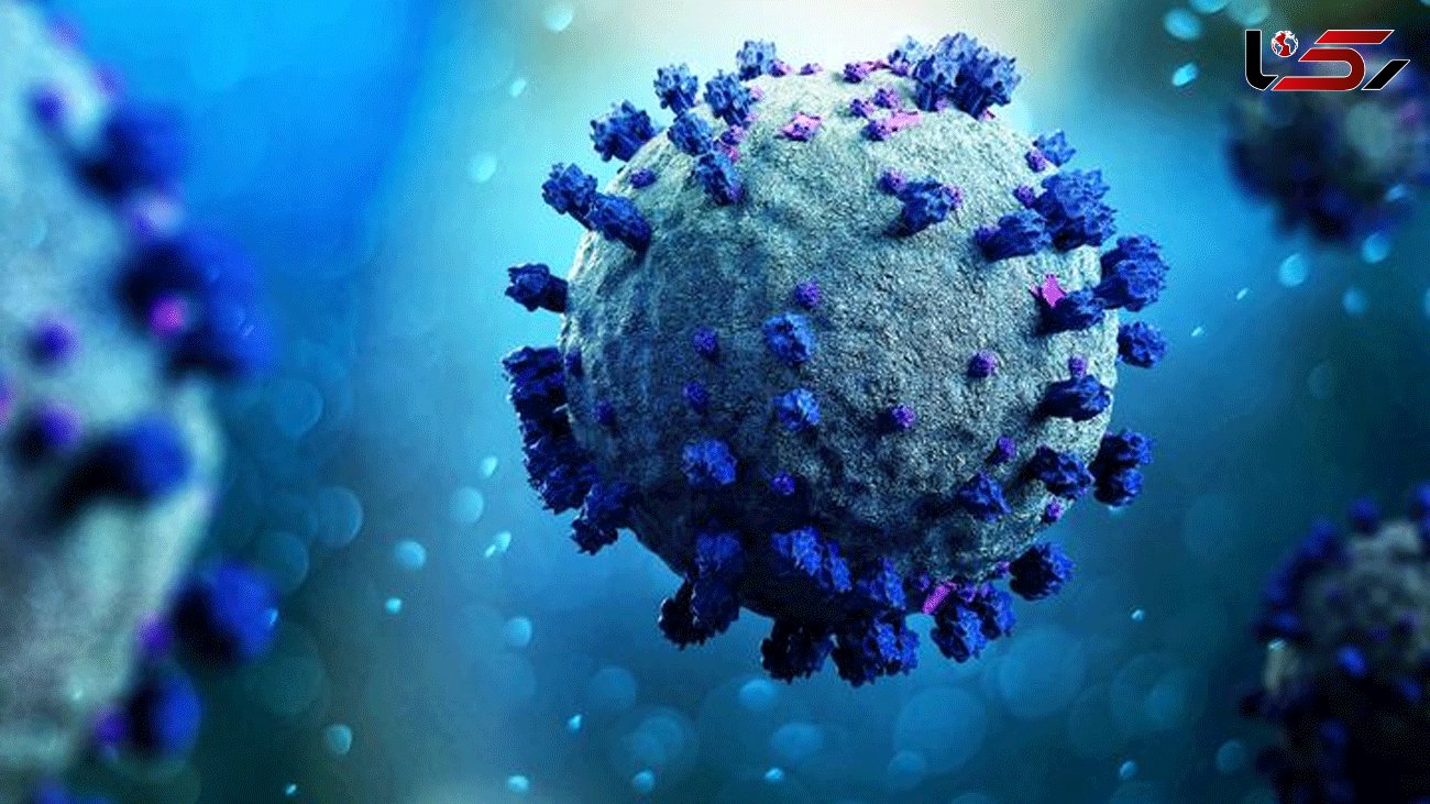 Japan finds new coronavirus variant in travellers from Brazil