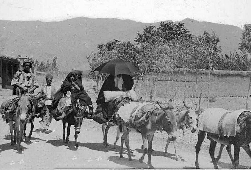 روستا شمالی