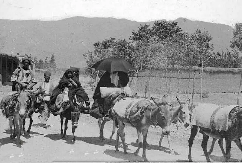 روستا شمالی