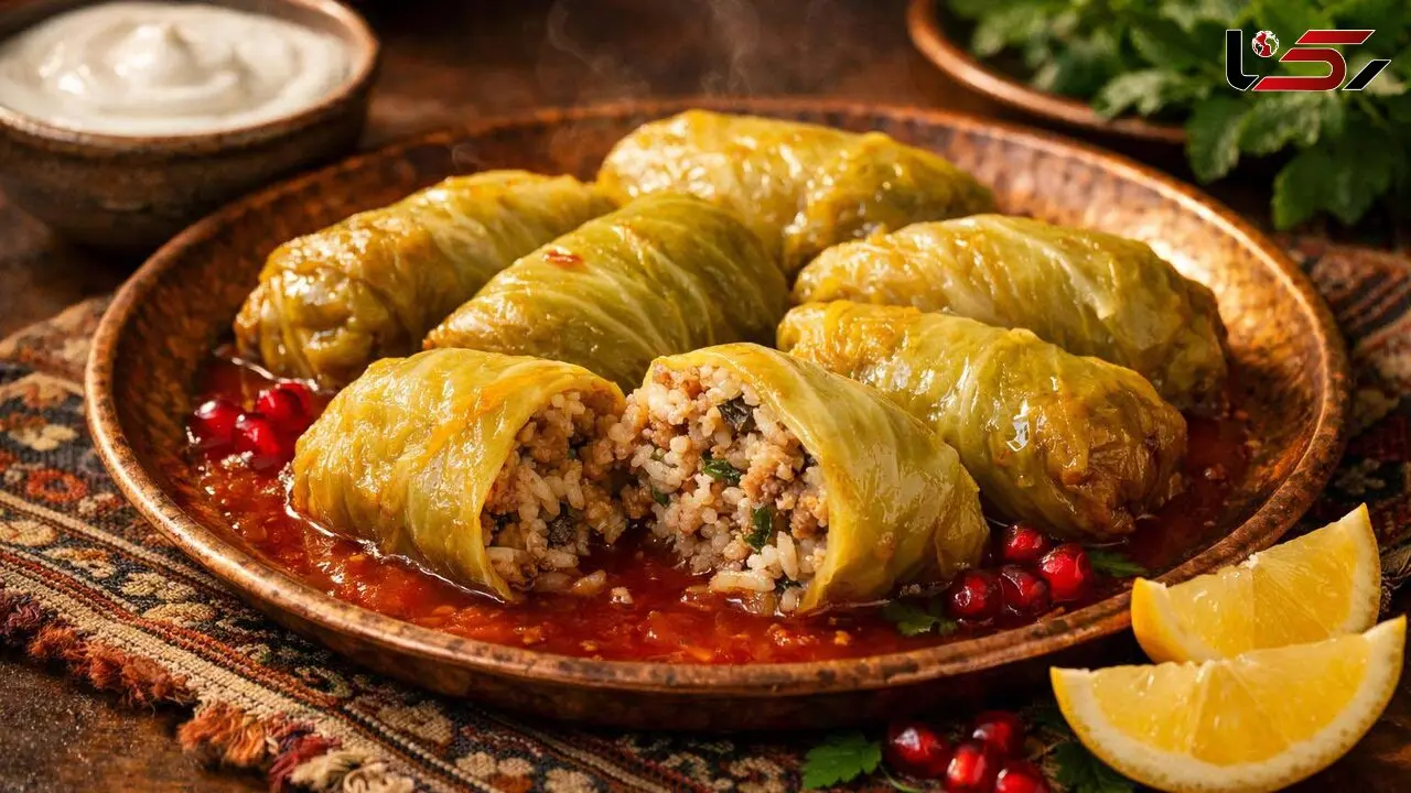 طرز تهیه دلمه کلم برگ مجلسی؛ مواد لازم و فوت‌ و فن خوشمزه شدن