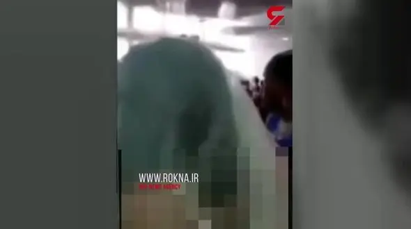 دوست دختر سابق در لباس عروس جشن ازدواج داماد با دختر دیگر را به هم ریخت+فیلم 