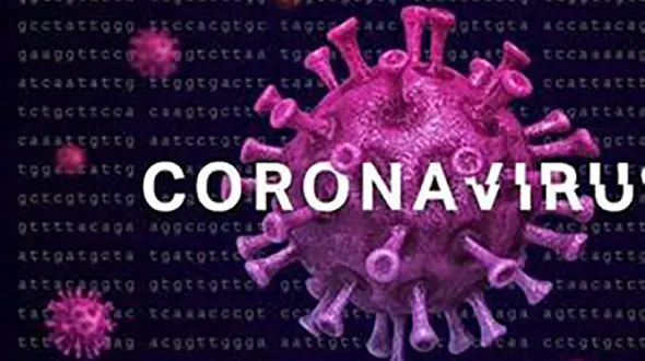 ممنوعیت عرضه قلیان در زنجان / در پی انتشار کرونا شکل گرفت 