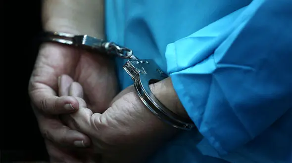 بازداشت 7 ایرانی با محموله فوق سری در هند