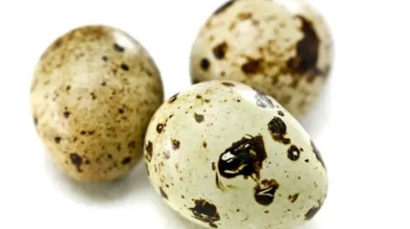 معجزاتی که تخم بلدرچین برای کودکان می تواند داشته باشد 