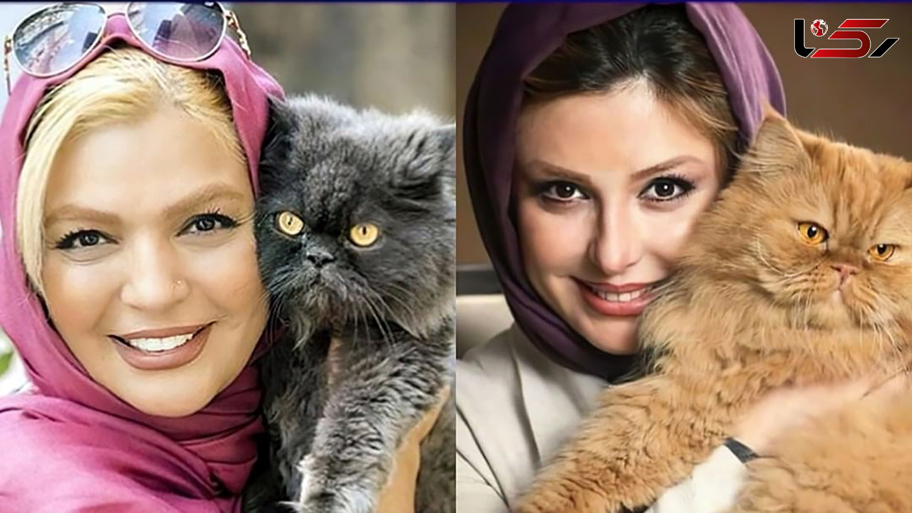 این بازیگران زن و مرد ایرانی گربه دارند! + اسامی و عکس ها