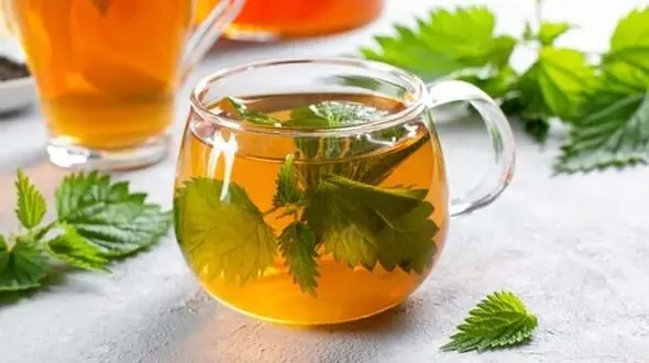 دمنوش مناسب برای افراد درگیر سنگ کلیه 
