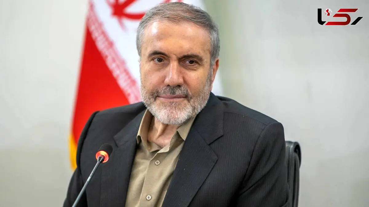 شقایق الیفرا توانایی‌ تأمین ۹۰ درصد مواد اولیه دارویی را دارد/ نیازی به کشت خشخاش نیست/ برداشت‌ها درباره کشت خشخاش غلط و خطرناک است