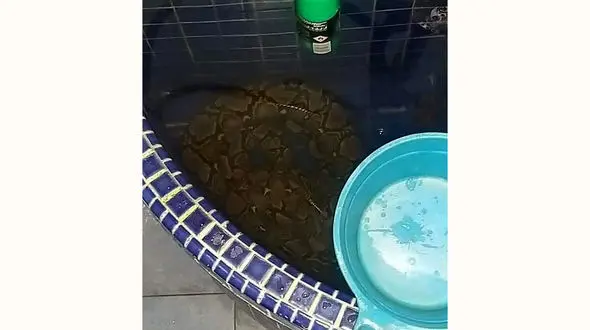 صحنه وحشتناکی که صاحبخانه را در حمام شوکه کرد!