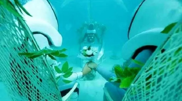  ازدواج زیر آب / مراسم ازدواج عجیب زوج تایلندی + عکس