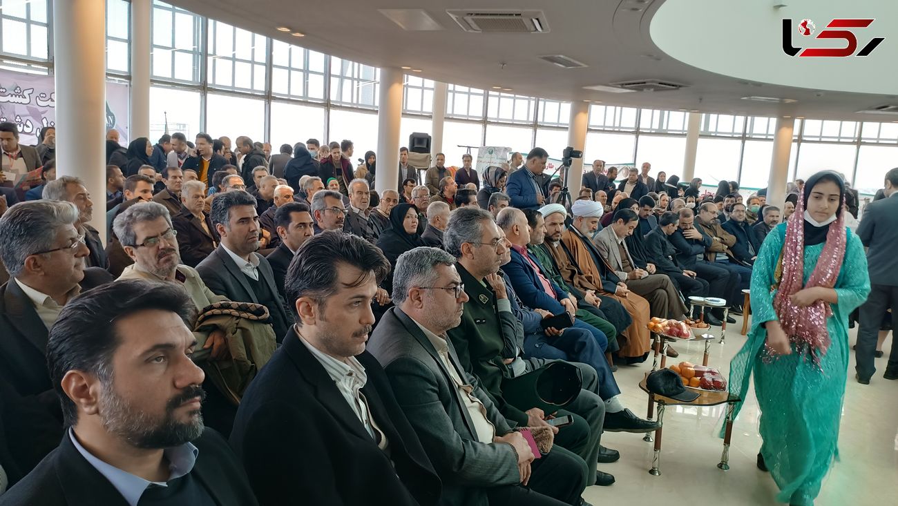 صدور اولین پروانه گردشگری کشاورزی در طارم سفلی/ صندوق زیتون در قزوین راه اندازی می شود