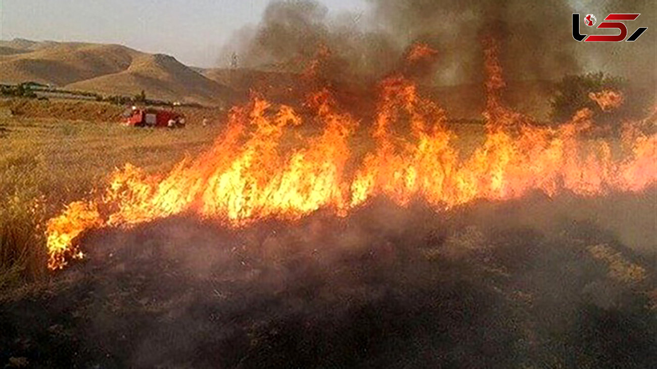  آتش سوزی هولناک در زمین های کشاورزی دالاهو