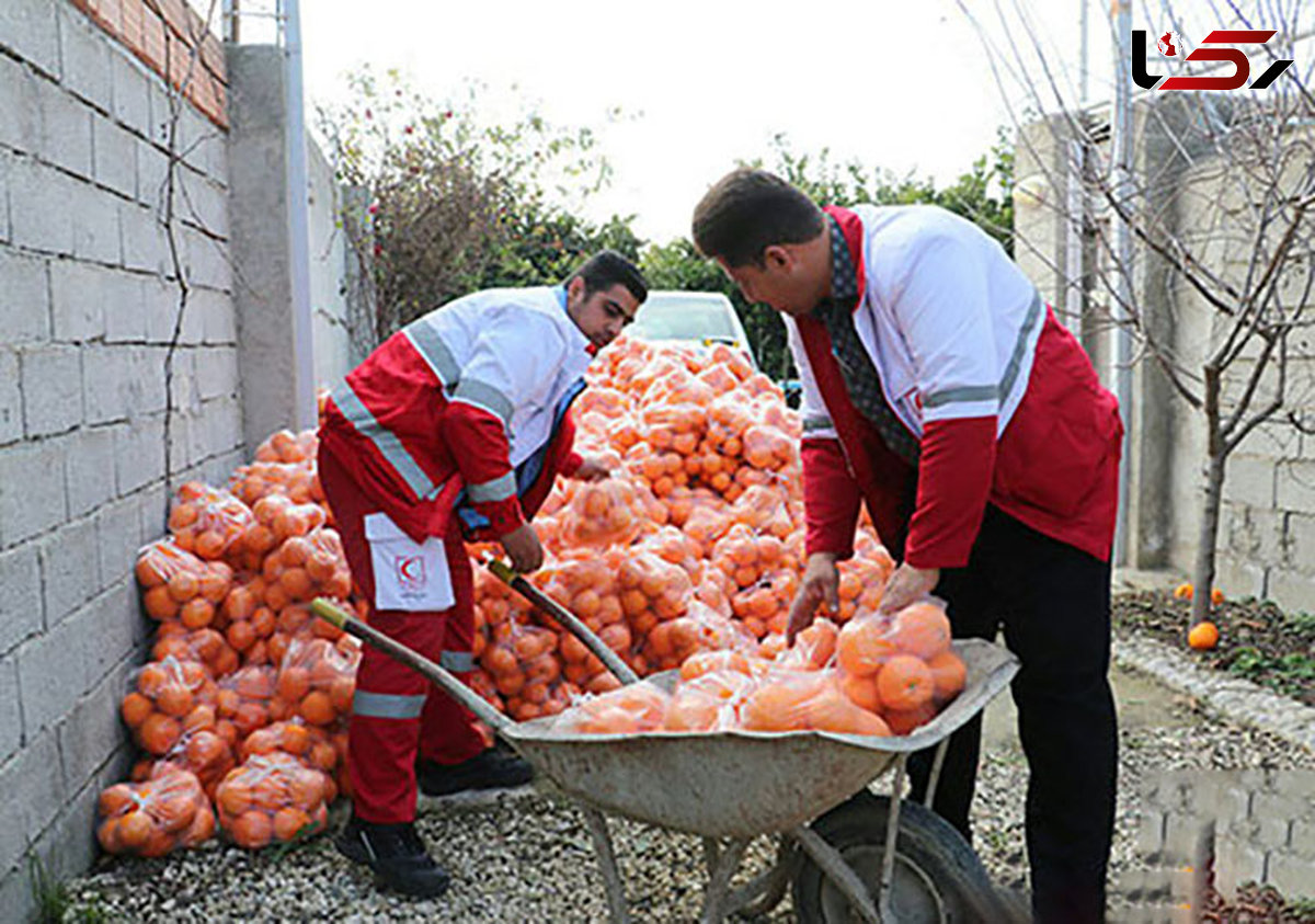 کمک متفاوت یک پزشک گلستانی به سیل زده ها + فیلم