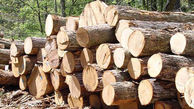 کشف 25 تن چوب بدون مجوز حمل در شهرستان فاریاب