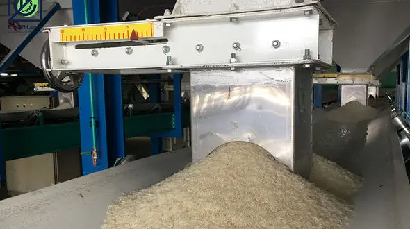 جریمه 29 میلیارد تومانی برای گرانفروشان/ شالیکوبی های متخلف گیلان نقره داغ می شوند