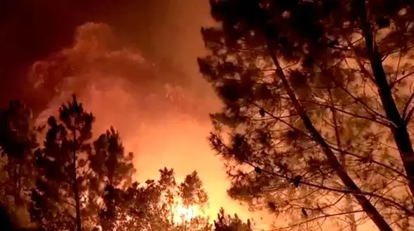 آتش سوزی هولناک جنگل های مریوان / ادامه عملیات ویژه برای مهار آتش سوزی + عکس و جزییات