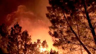 مهار ۹۰ درصدی آتش در جنگل‌های مریوان