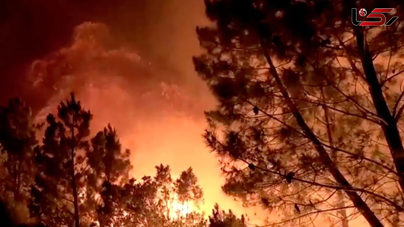 آتش سوزی هولناک جنگل های مریوان / ادامه عملیات ویژه برای مهار آتش سوزی + عکس و جزییات