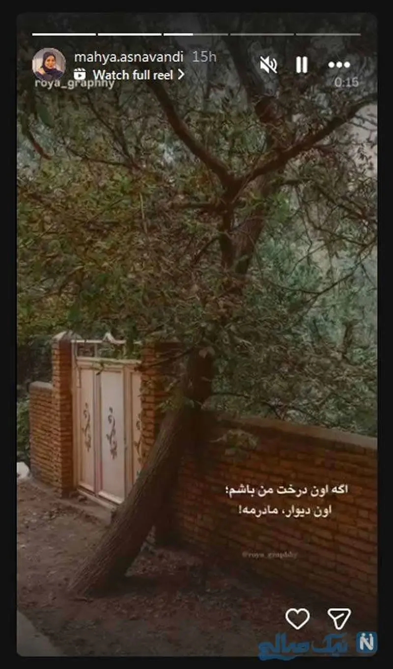 محیا اسناوندی