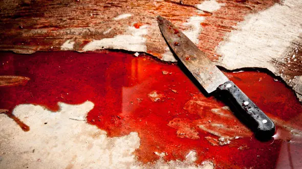 سلاخی کردن 2 پسر 12 و 7 ساله توسط پدرش/ در فاروج رخ داد