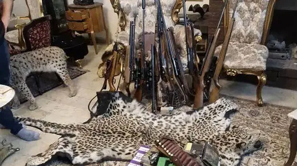 کشف محموله بزرگ حیوانات تاکسیدرمی و سلاح در تهران !/ گونه های تاکسیدرمی کمیاب به پارک پردیسان منتقل شدند