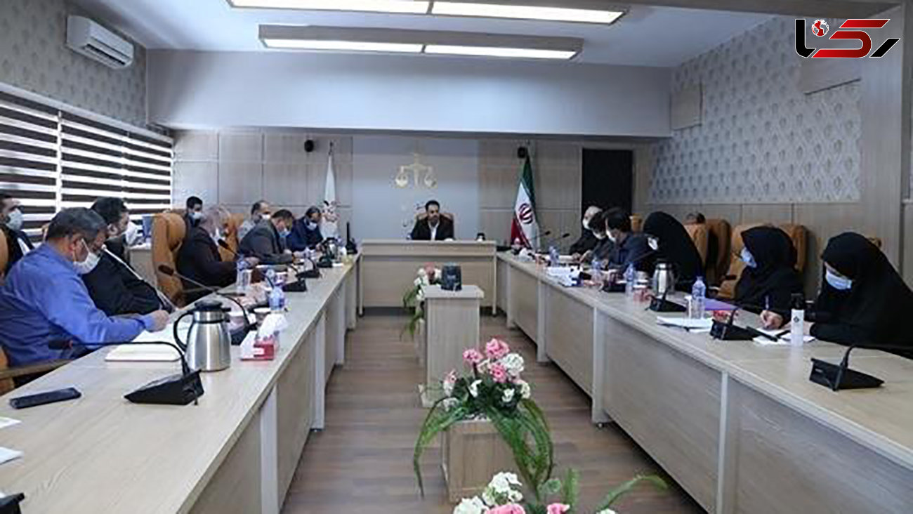تشکیل اولین جلسه کارگروه ملی مشارکت و تعامل نهادهای مردمی با قوه قضاییه