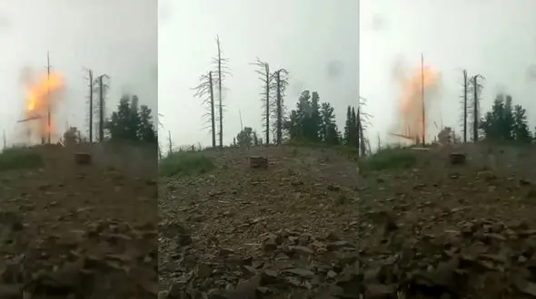 فیلم دیدنی از لحظه پودر شدن یک درخت توسط صاعقه / ببنید