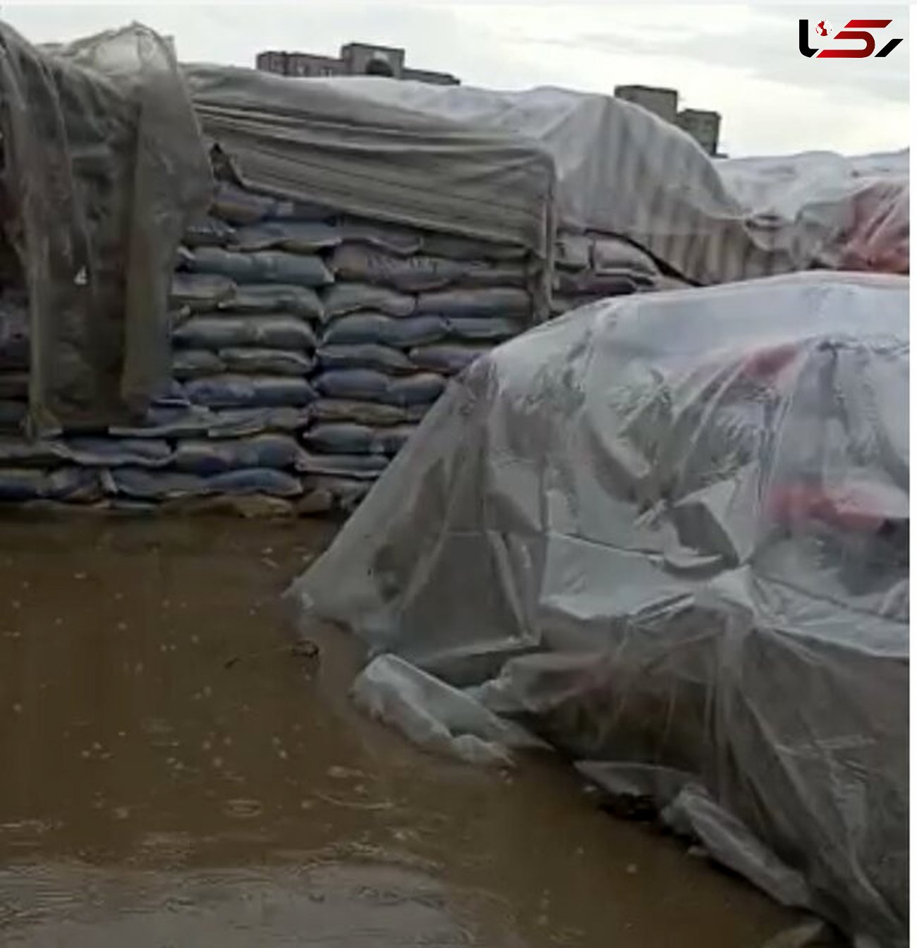 صدها تن برنج وارداتی زیر آب رفت ! / در گمرک زاهدان رخ داد