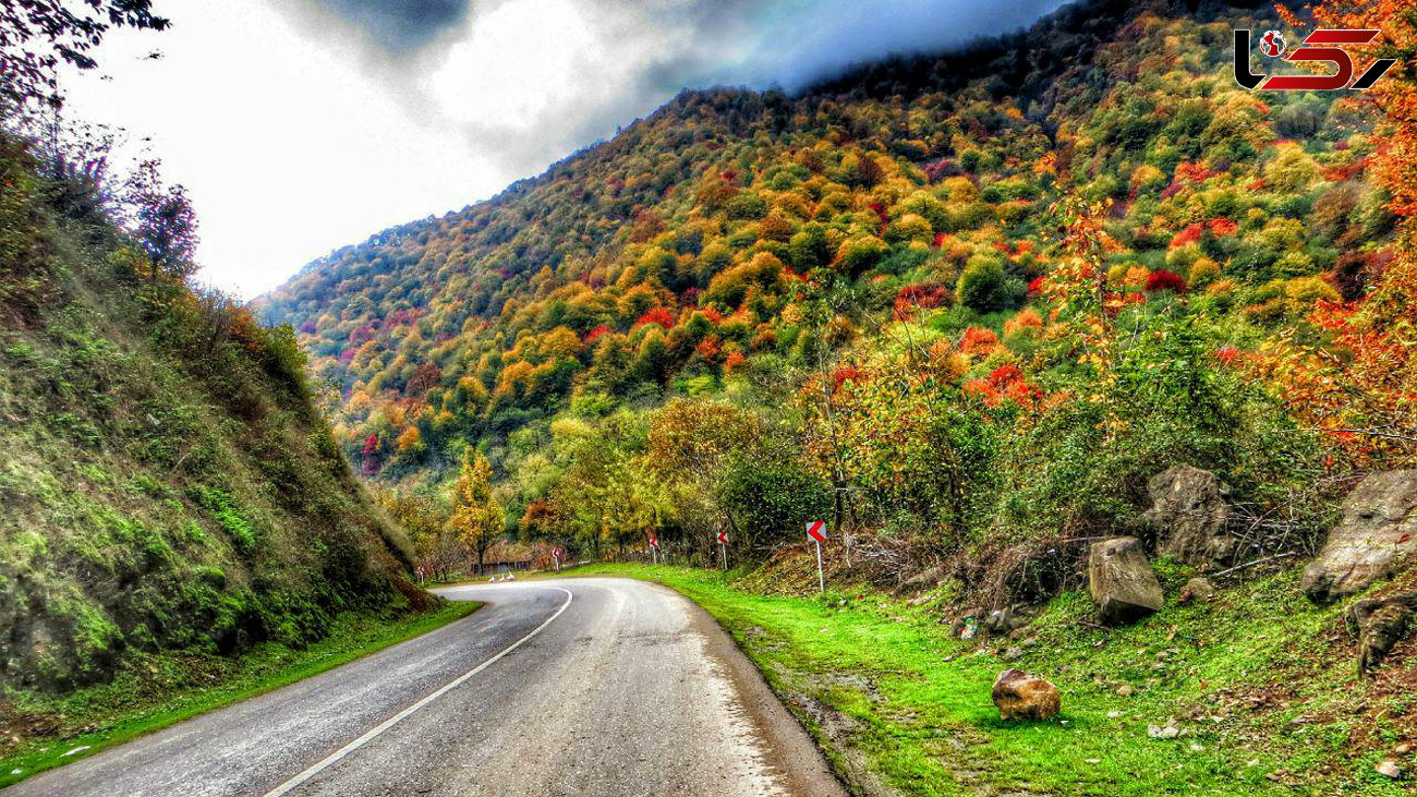 ببینید / زیبایی های جاده اشکورات رحیم آباد رودسر گیلان + فیلم