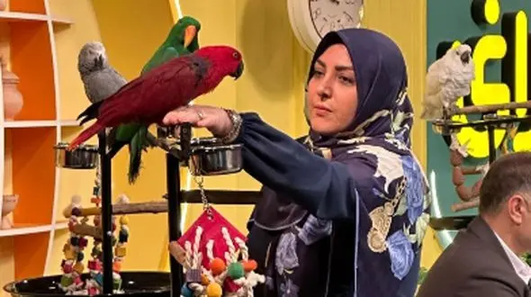 فیلم / شهریه 175 میلیونی یک مدرسه برای ثبت نام پسر المیرا شریفی مقدم مجری برنامه صبحانه ایرانی!/ دلیل هزینه های غیر قابل توجیه چیست؟