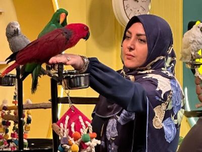 فیلم / شهریه 175 میلیونی یک مدرسه برای ثبت نام پسر المیرا شریفی مقدم مجری برنامه صبحانه ایرانی!/ دلیل هزینه های غیر قابل توجیه چیست؟