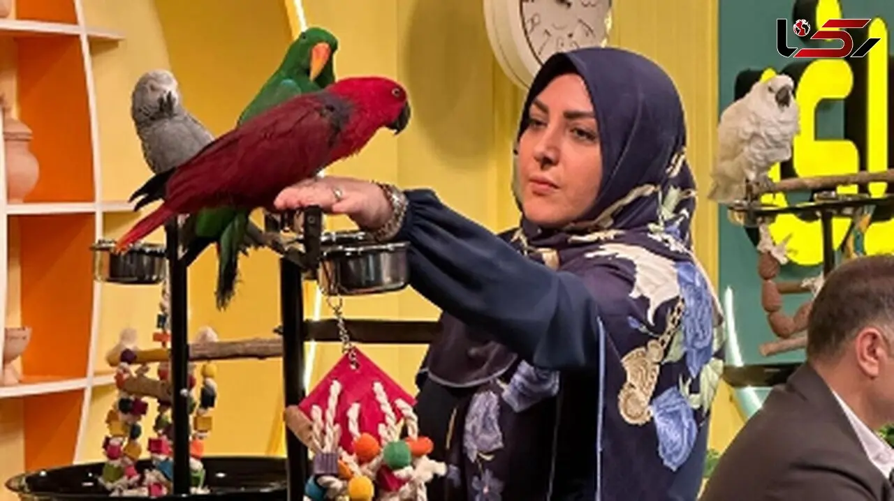 فیلم / شهریه 175 میلیونی یک مدرسه برای ثبت نام پسر المیرا شریفی مقدم مجری برنامه صبحانه ایرانی!/ دلیل هزینه های غیر قابل توجیه چیست؟