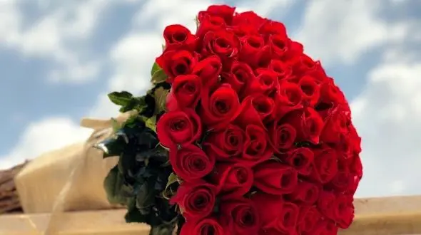 گل های روز عشق از کجا می آیند؟ +فیلم