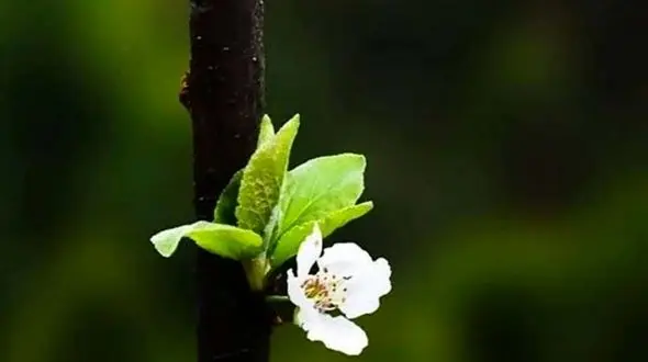 جمله انگیزشی روز / سخن بزرگان درباره موفقیت + فیلم