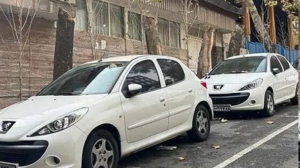 صدور کیفرخواست متهم پرونده قطع درختان خیابان فرشته