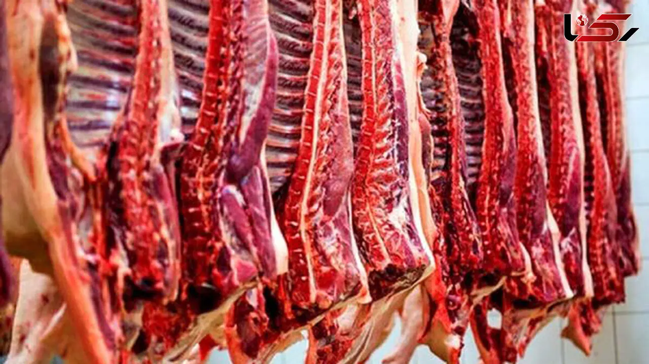 هیچ مجوزی برای کشتار و عرضه گوشت اسب، قاطر و الاغ صادر نشده است