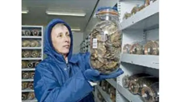 بانک گیاهان در خطر انقراض + عکس 