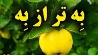 میوه به طبیعی ترین داروی ضد استرس