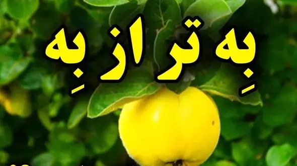 میوه به طبیعی ترین داروی ضد استرس