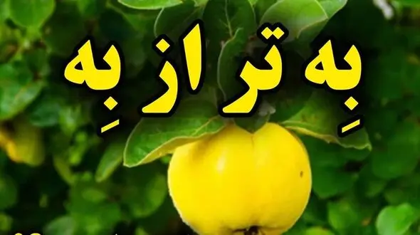 میوه به طبیعی ترین داروی ضد استرس