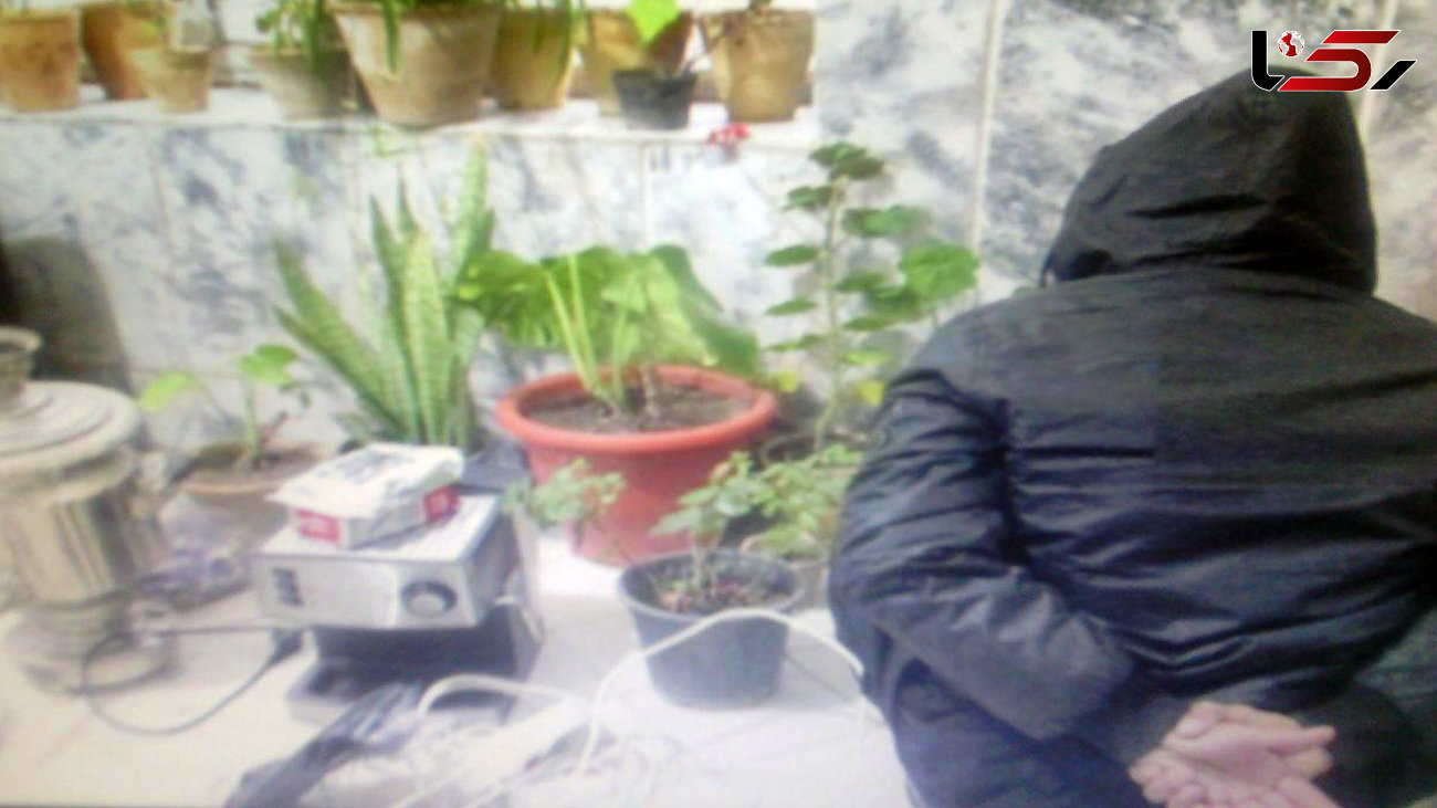 سارق گلخانه های فریمان دستگیر شد +عکس