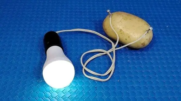 چطور با سیب زمینی برق رایگان برای لامپ LED تولید کنیم؟ / فیلم