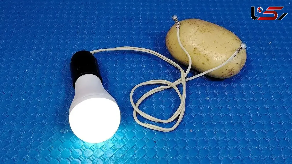 چطور با سیب زمینی برق رایگان برای لامپ LED تولید کنیم؟ / فیلم