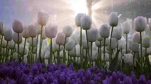 فال ابجد محشر در 25 دی + فیلم 