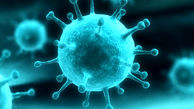 ۵ نفر مبتلا به ویروس کرونا در شاهرود بهبود یافتند
