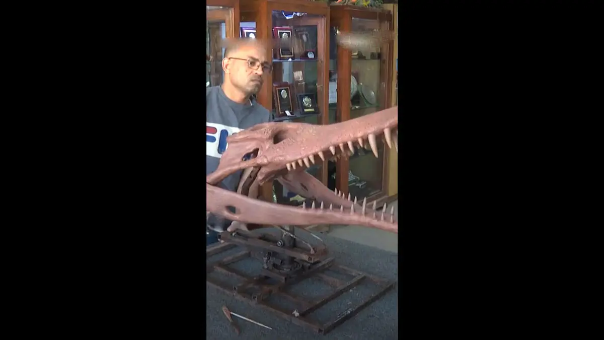 فیلم بازگشت تمساح‌ های ماقبل تاریخ! مصر میزبان موجودی از 80 میلیون سال پیش