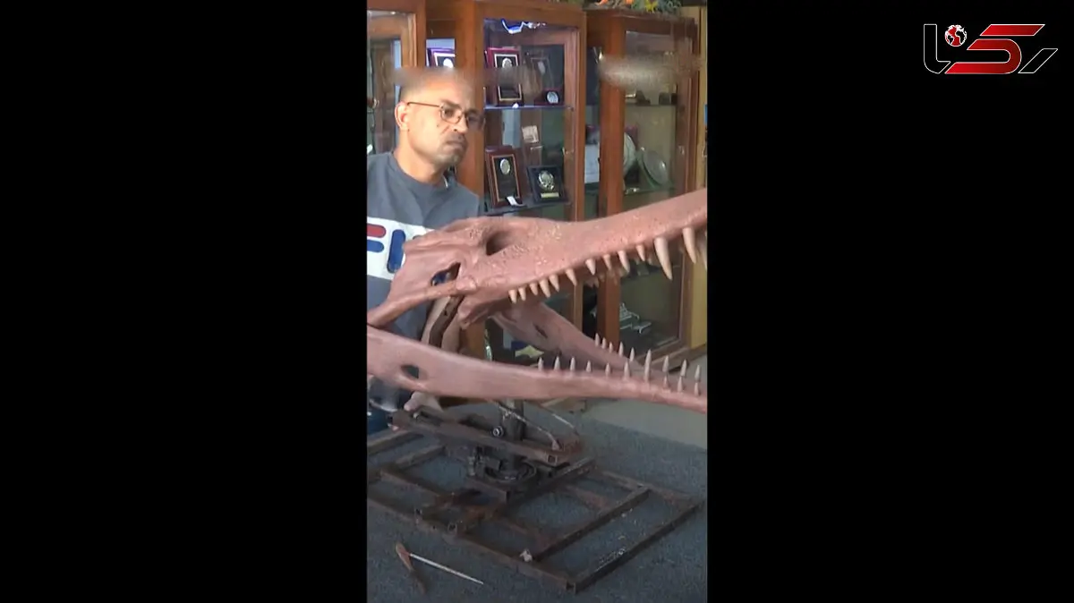 فیلم بازگشت تمساح‌ های ماقبل تاریخ! مصر میزبان موجودی از 80 میلیون سال پیش