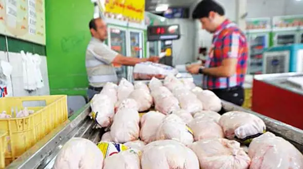 مرغ و تخم مرغ اینترنتی توزیع می شود