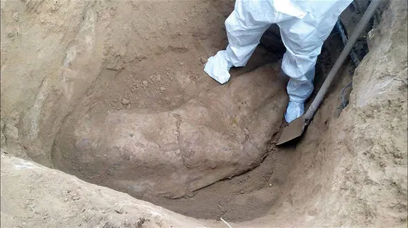 تصویر تکاندهنده از دفن جسد زن مشهدی در باغچه خانه+ عکس جسد