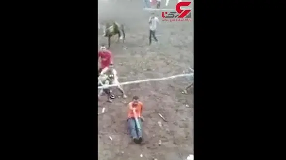 مرگ دلخراش یک گاوباز در نمایشی جنون آمیز +تصویر